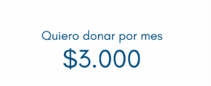 Donar Fundación Digital